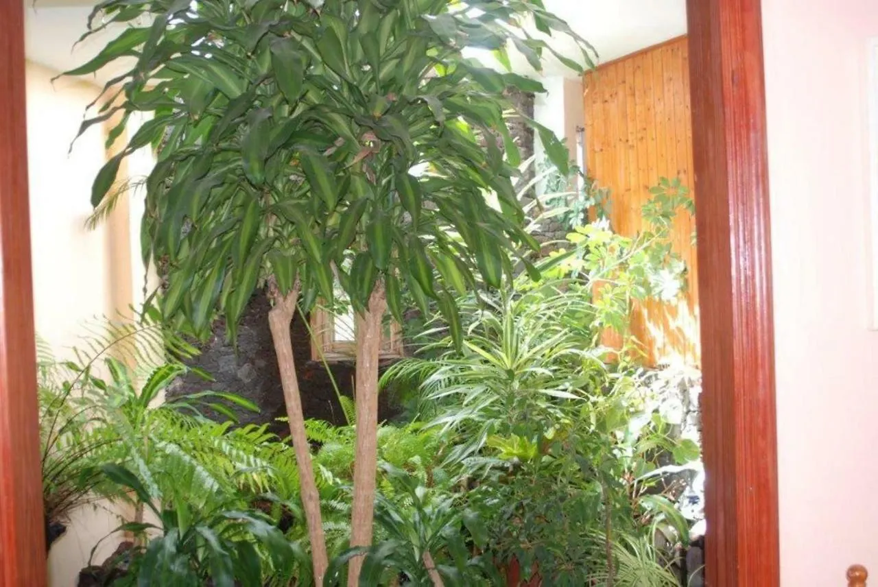 Holiday home Vivienda Vacacional Casa Rosi Frontera